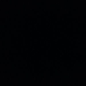 Meet your Posher, Hunter